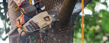 Best Lawn Irrigation Installation and Maintenance  in Colville, WA
